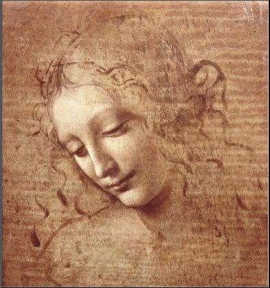 drawing-by-leonardo-da-vinci-1362494615_b